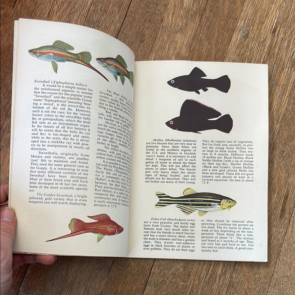 Tropical Fish Guide by Herbert R. Axelrod - Picture 8 of 11
